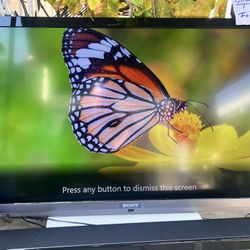 46 Inch Bravia Sony  TV And Sound Bar 