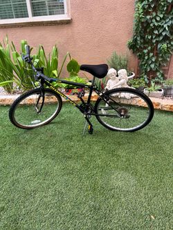 Diamond Back Mountain Bike