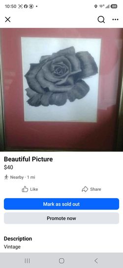 Beautiful Picture