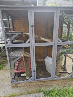 Converted Catio To Iguana Cage