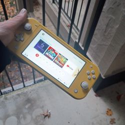 Nintendo Switch Lite