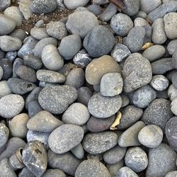 4 Tons Of Mexican Beach Pebble