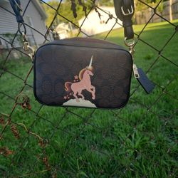 Special Addition COACH BAG 2020