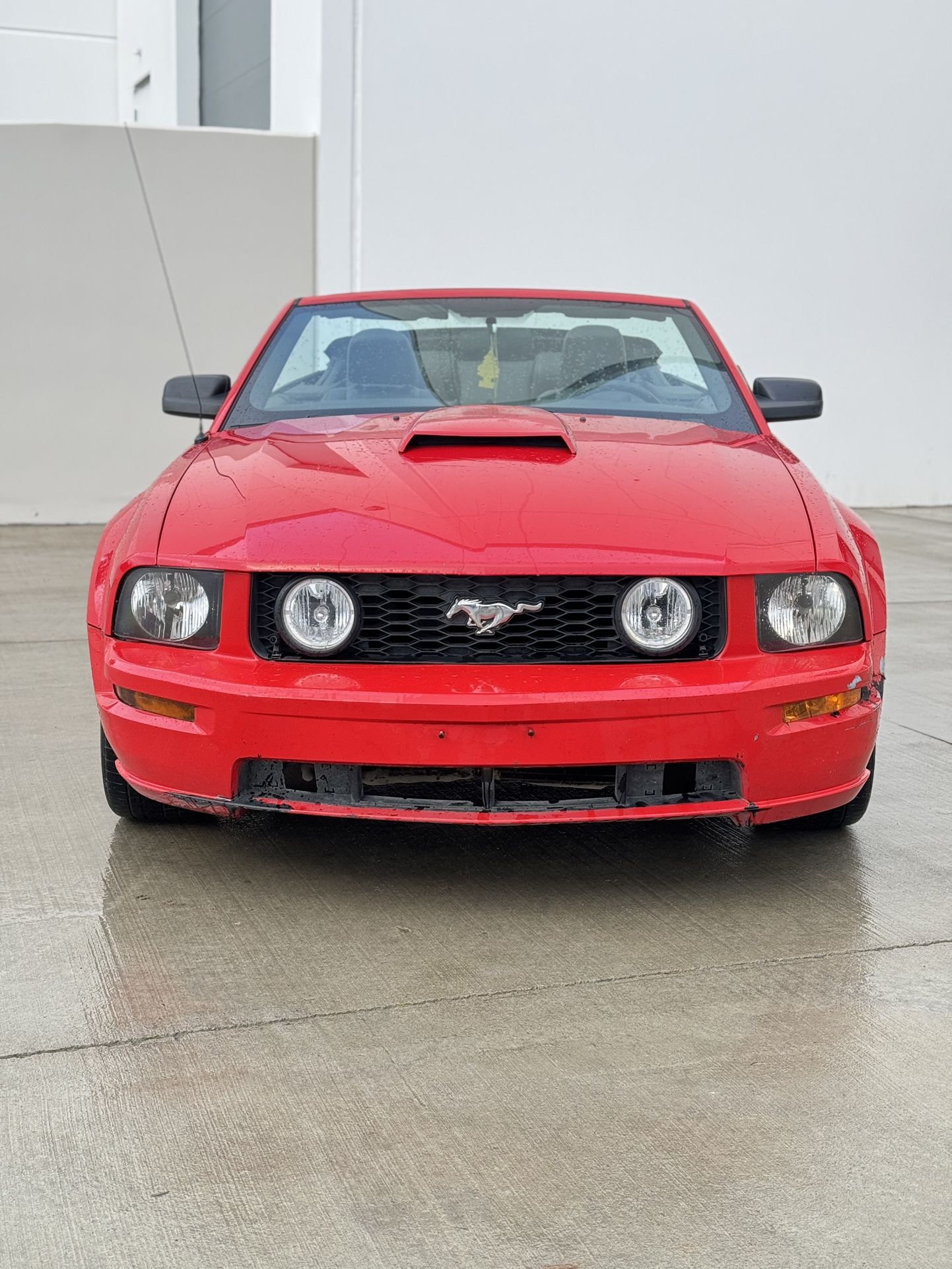 2004 Ford Mustang