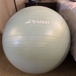 Yoga Ball/Birth Ball
