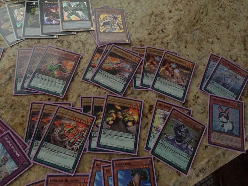 Yugioh metalfoes zoo deck Yugioh metalfoes zoo deck