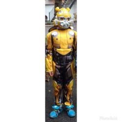 Bumblebee Costume - Halloween and play time