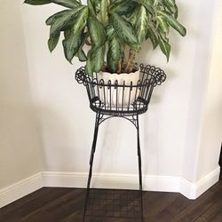 Plant Stand 