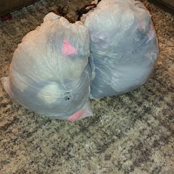 Medium/Large Lot