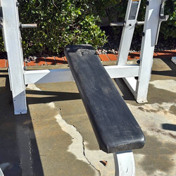 Precor Icarian bench press