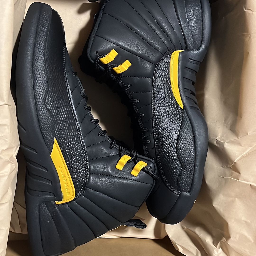 Jordan 12 