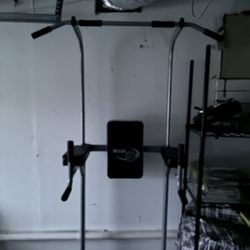 Pull Up / Dip Station