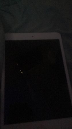 iPad mini 2
