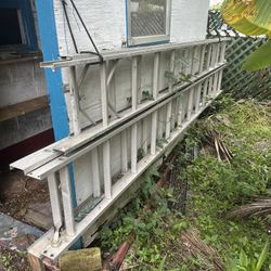 2 Ladders 