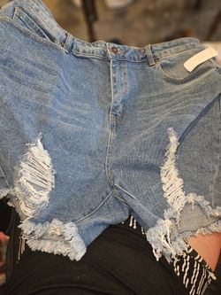 Women Shorts 