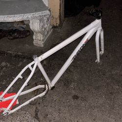 Throne 29 Frame And Forks 