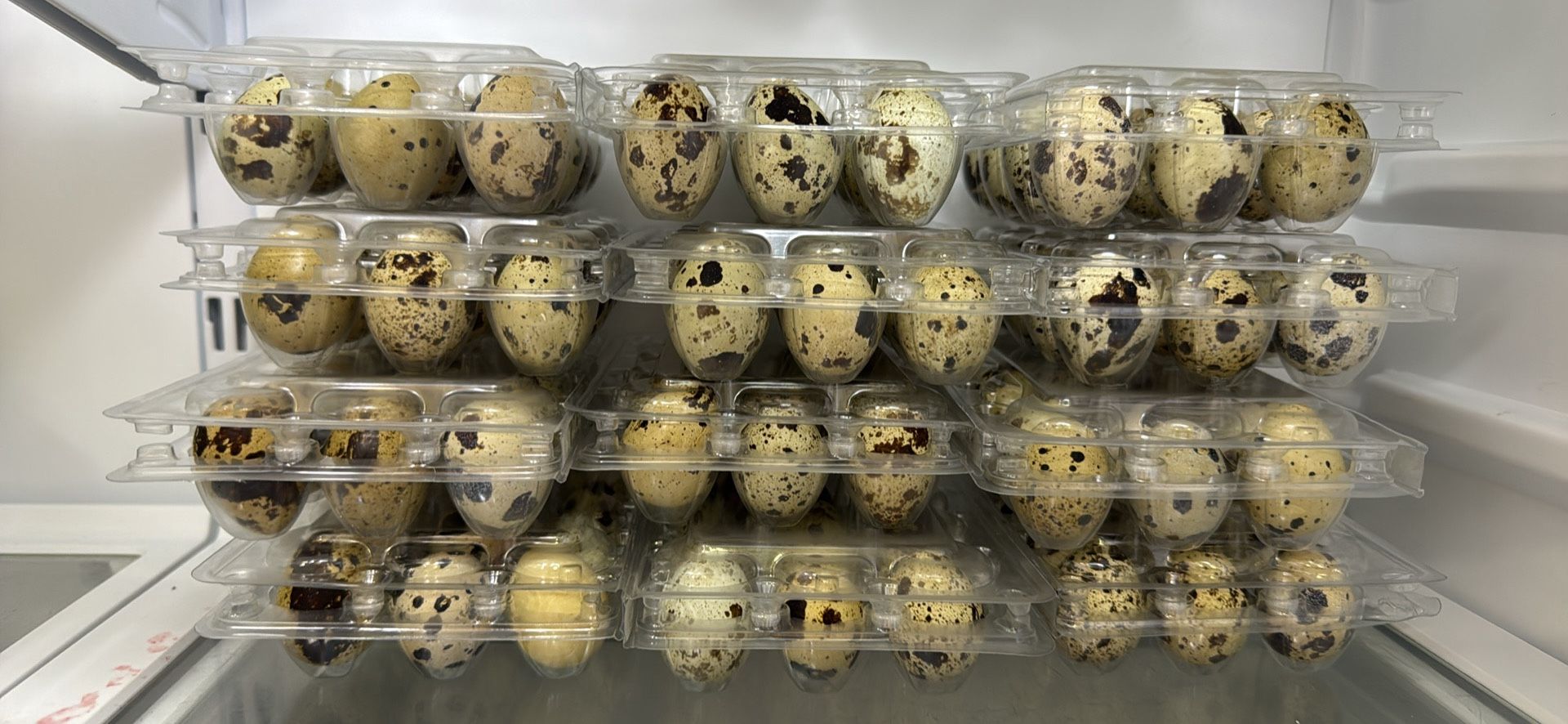 Fresh Quail Eggs