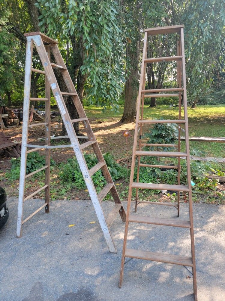 Pair Of Ladders