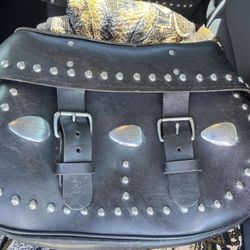 Harley Davidson Saddle Bags