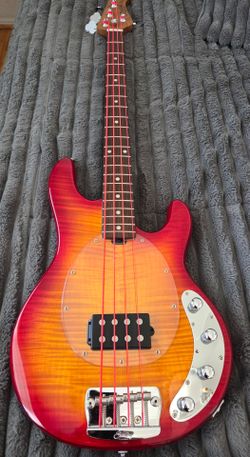 Sterling by Music Man Bass Guitar