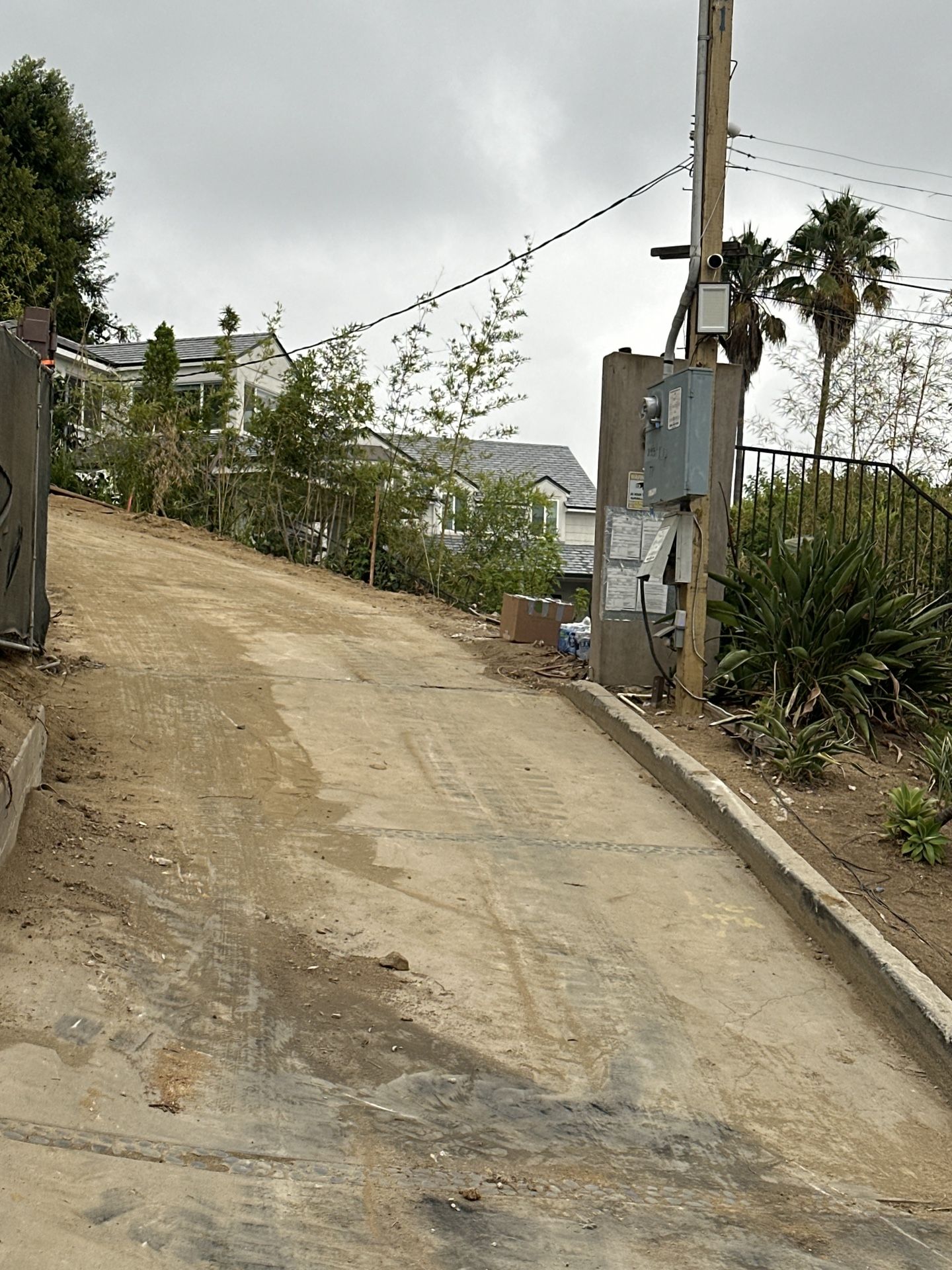 Dog Gates