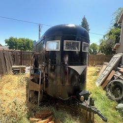 Forsale Horse
