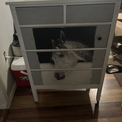Horse Dresser