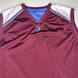 Vintage Y2k Shaquille O’Neil Reversible Jersey Size 2xl