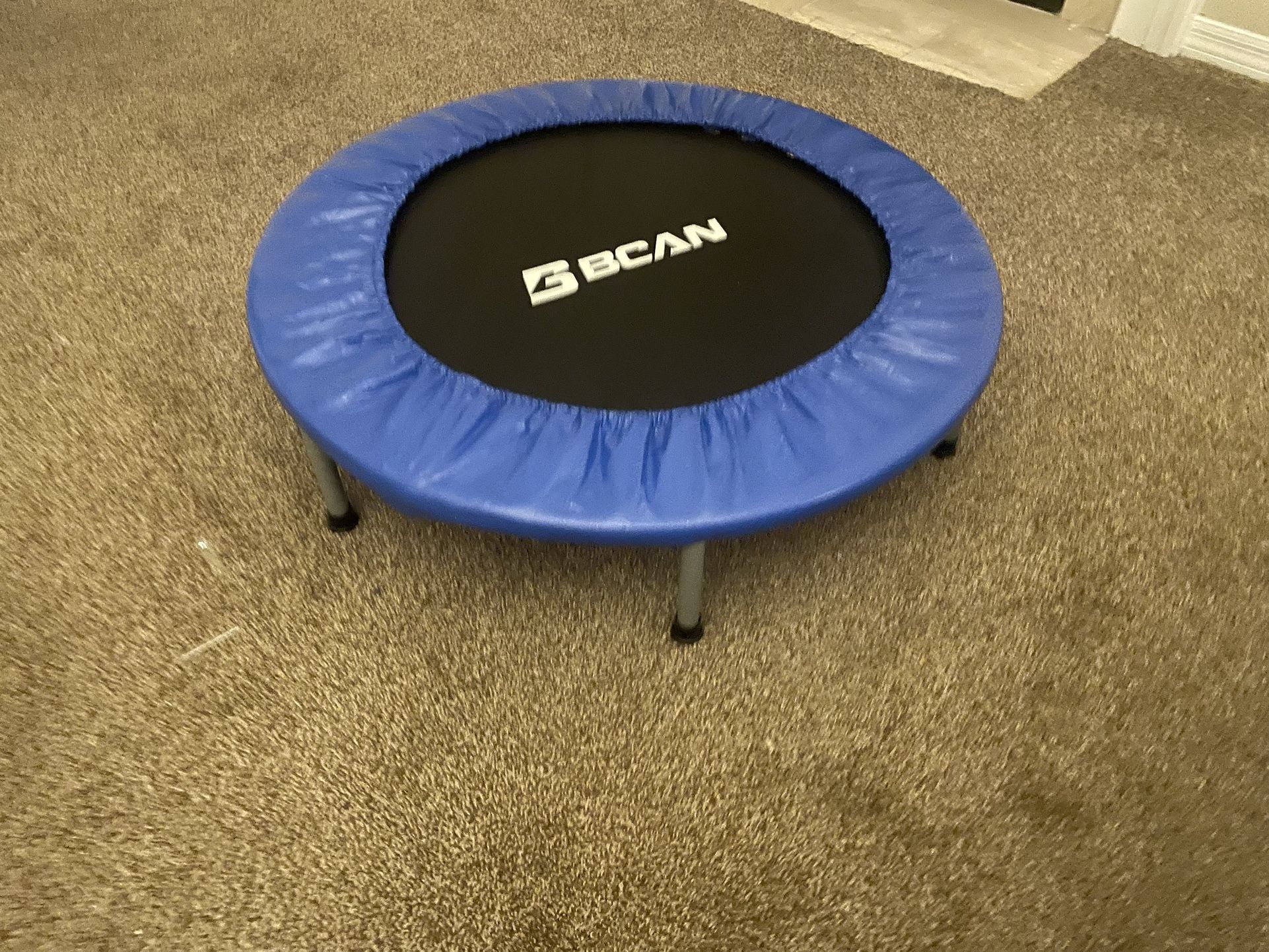 Trampoline (rebounder)