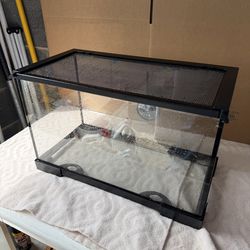 Reptiles glass tank