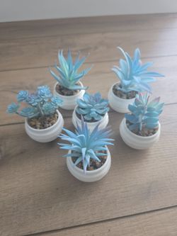 GREENTIME 6Pcs Blue Artificial Succulents in Pot