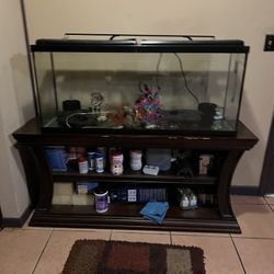 fish tank and equipment