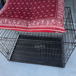 Large Dog Kennel