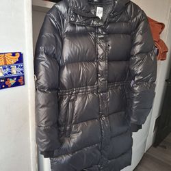 Nuevos Chammara Marca GAP  Noseuso