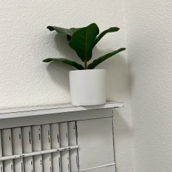 Faux Plant