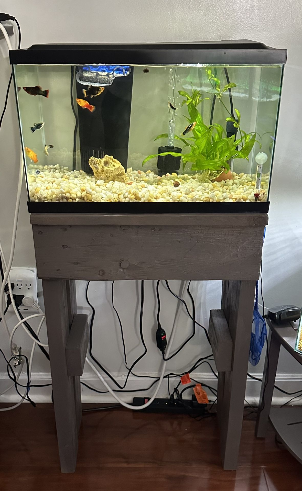 10 Gallon Fish Tank With Stand And Accessories 