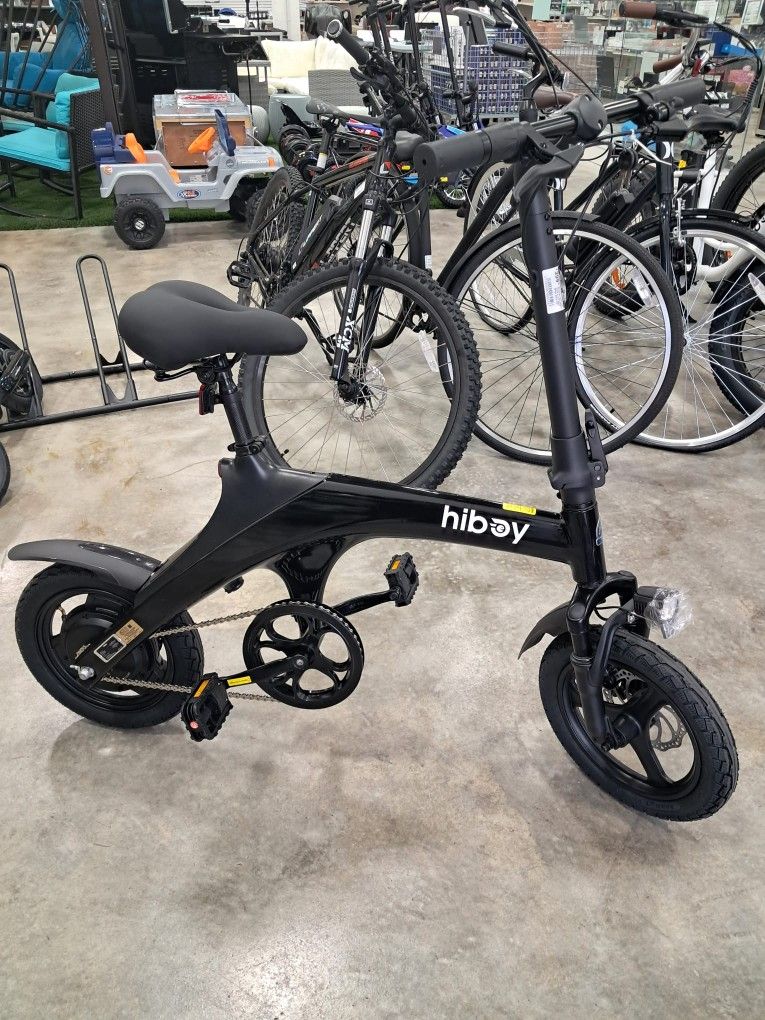 Electric Bike