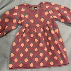 Tea Sweater Dress 2T
