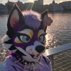 Comfortable Fur Suit for Mascots, Cosplay & Parties