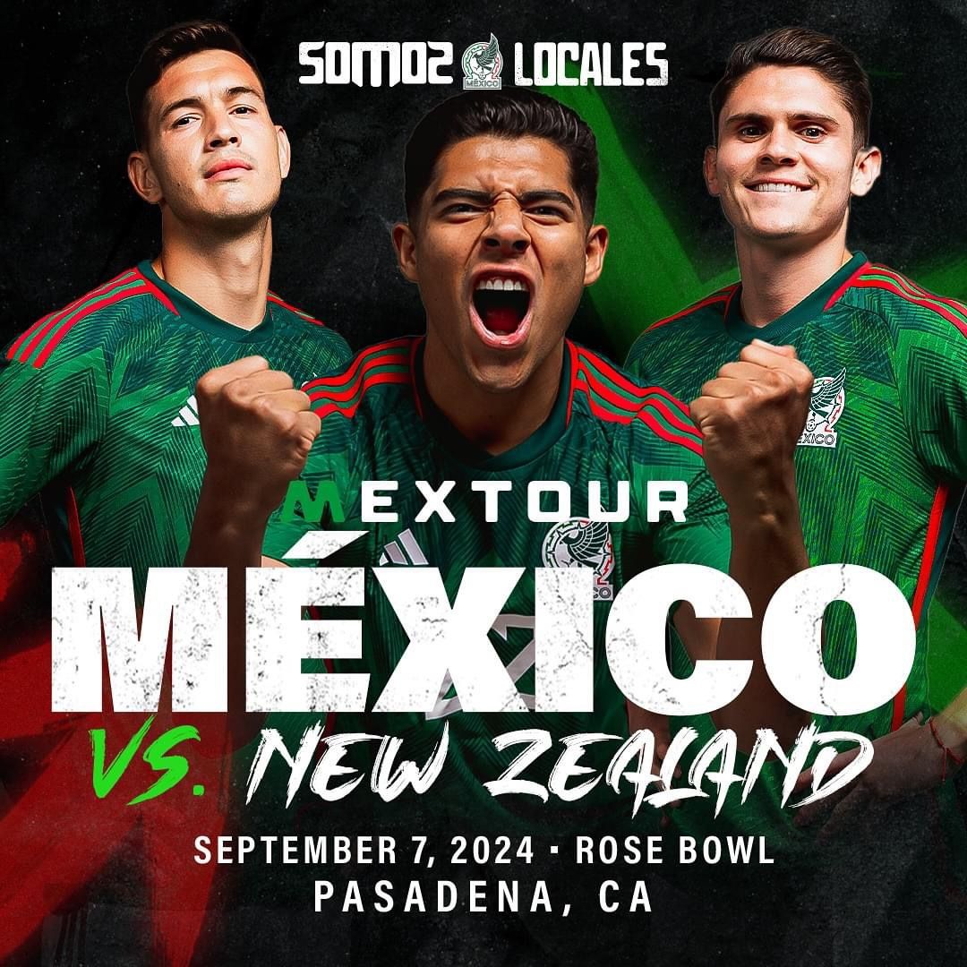 Mexico Game Ticket