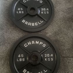 45lbs weight plates