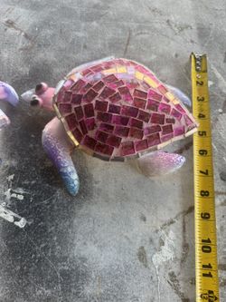 Hanging Turtle 