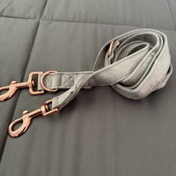 For Dogs 