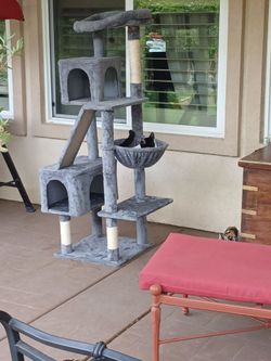 Cat castle