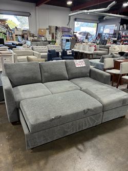 Sleeper Sofa with storage from Costco