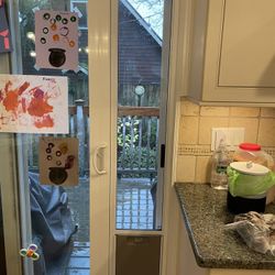 Sliding Door Insert Dog Door