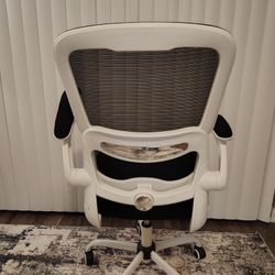 Ergonomic Desk Chair with Adjustable Lumbar Support, Mesh Computer Chair, Executive Chairs for Home Office Comfortable Lumbar Support (White+Black)