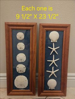 Set of Picture  Frames with Shells