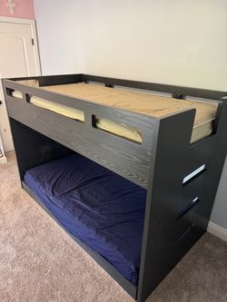 Crate and Barrel Kids Low Twin Trundle Bunk Bed with Ladder