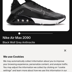 New Nike Air Max 2090 (men’s )